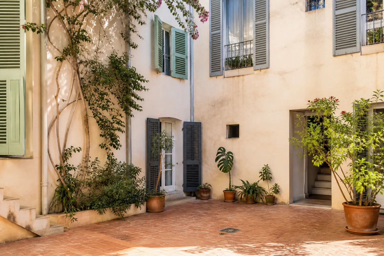 Un palmier Washingtonia planté dans un jardin d’hôtel à Hisarönü, tronc éclairé par le soleil de fin d’après-midi, plan rapproché sur la base du tronc et le.